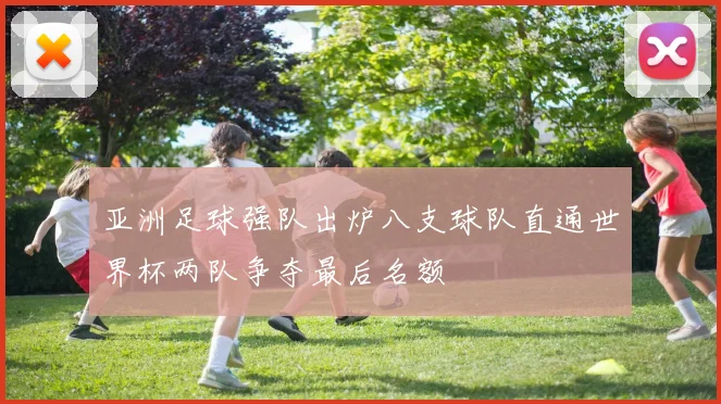 亚洲足球强队出炉八支球队直通世界杯两队争夺最后名额