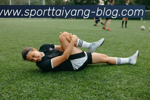 太阳城平台生态图