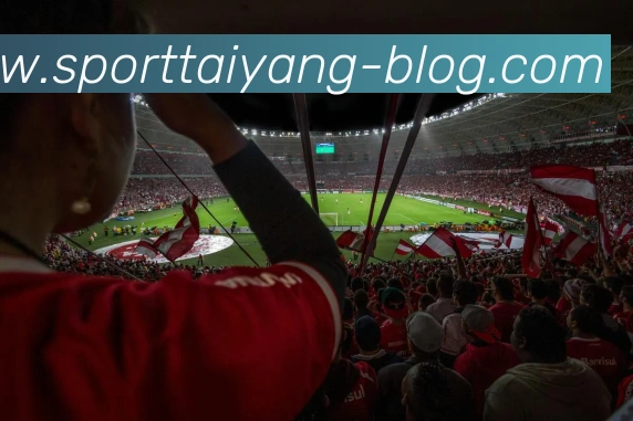 太阳城APP 封面图