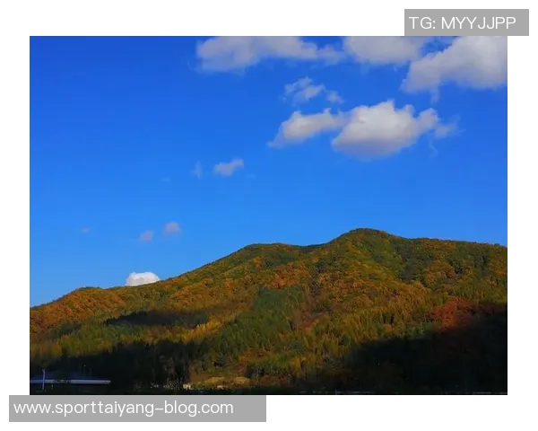 艾弗森回忆童年穿着风格独特自学成才的成长经历分享 艾弗森回忆童年穿着风格独特自学成才的成长经历分享